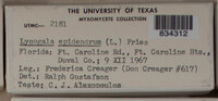 Image Associated With the Occurence